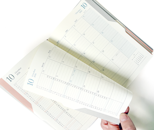 Midori - Agenda 2027 Double schedule