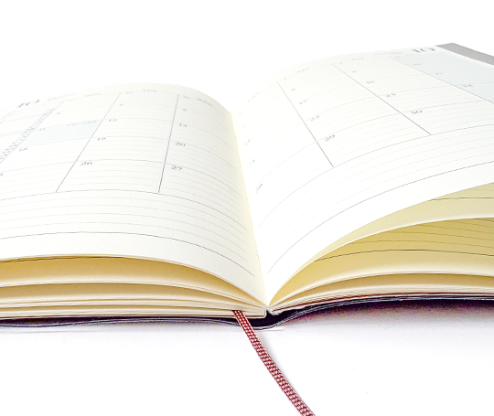 Midori - Agenda 2027 Double schedule