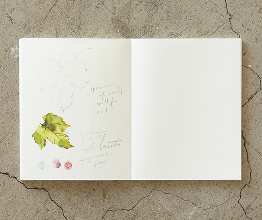 MD Paper Cotton carnet