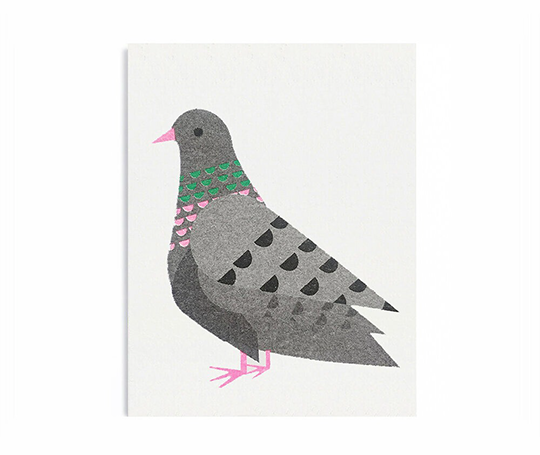 Mini carte - Pigeon