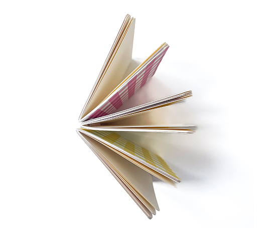 Season Paper carnet de poche - Swinging candy
