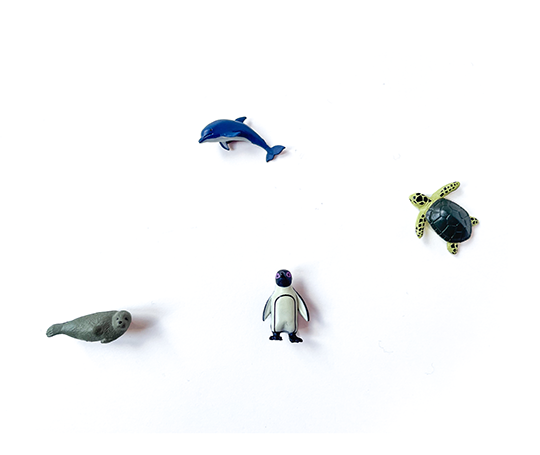 Midori 4 mini aimants - Aquarium