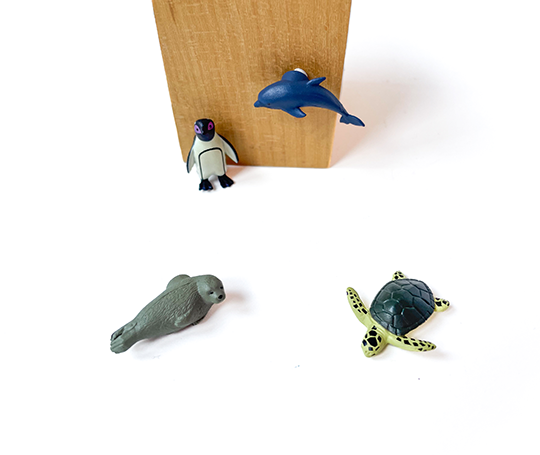 Midori 4 mini aimants - Aquarium
