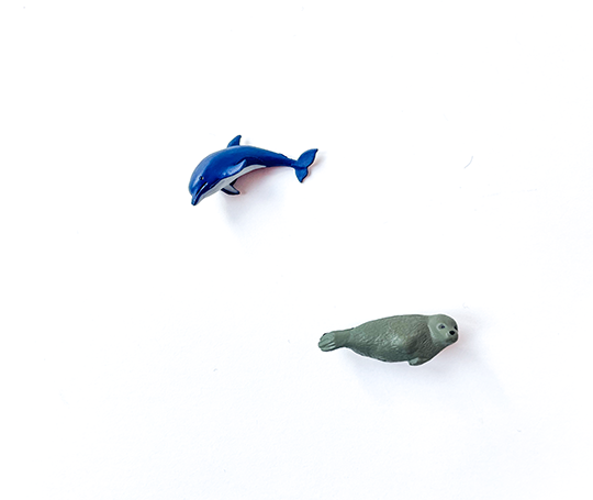 Midori 4 mini aimants - Aquarium