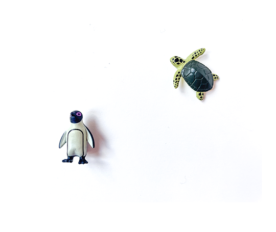 Midori 4 mini aimants - Aquarium