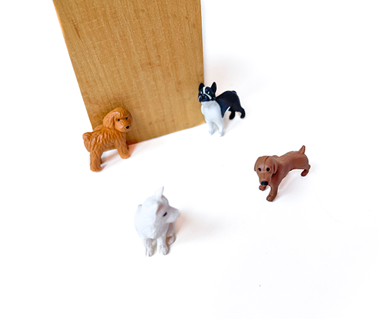 Midori 4 mini aimants - Dogs