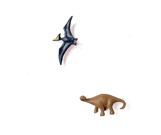 Midori 4 mini aimants - Dinosaur