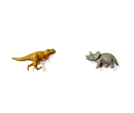 Midori 4 mini aimants - Dinosaur