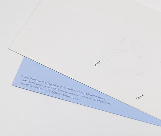 Carte et enveloppe US - Câlin