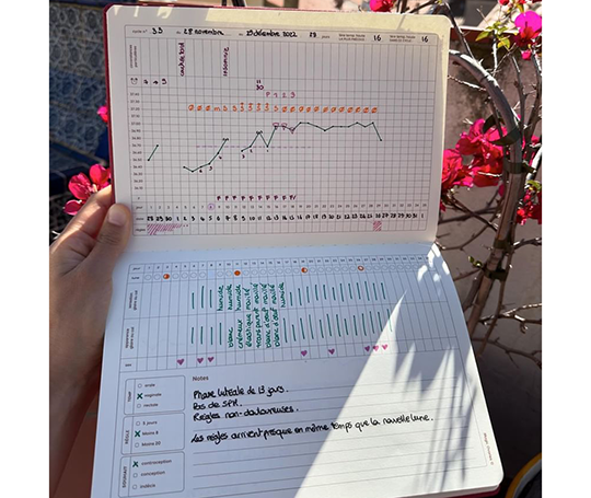 Agenda Menstruel (en français)