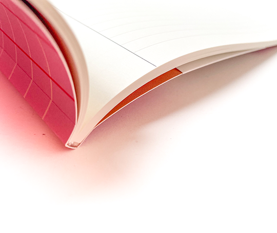 Notem - VITA carnet - Rose Grid - Medium