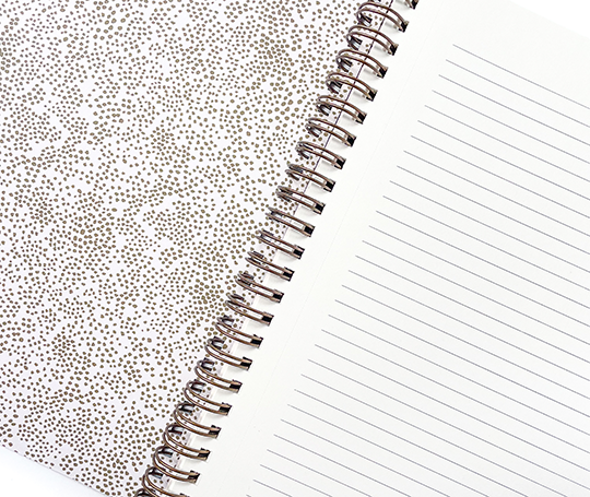 Rifle Paper Co - Carnet à spirale Peacock