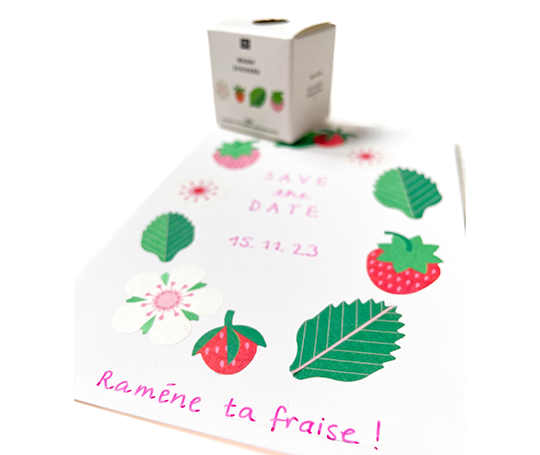 Washi stickers - Fraisiers