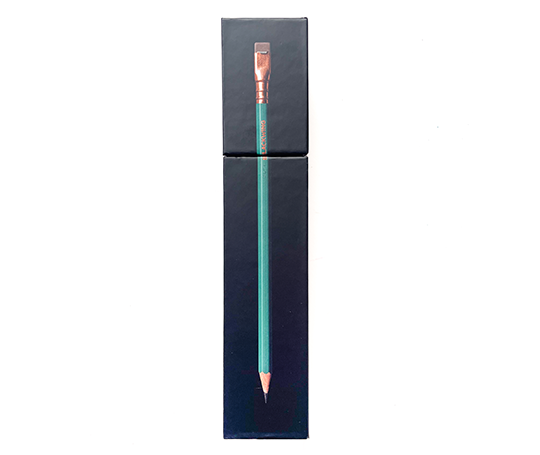 Boîte de 12 crayons Blackwing - Matte Green