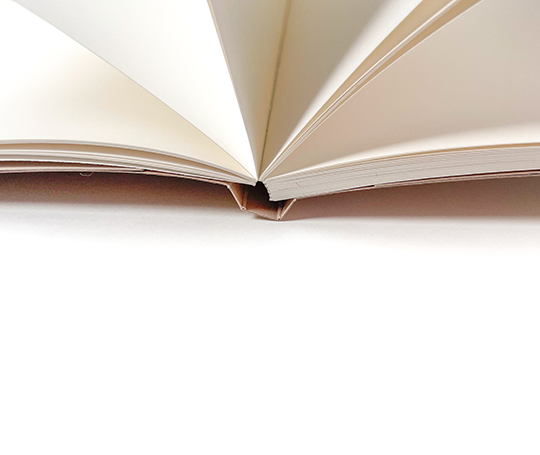 Carnet souple Lico - Sand