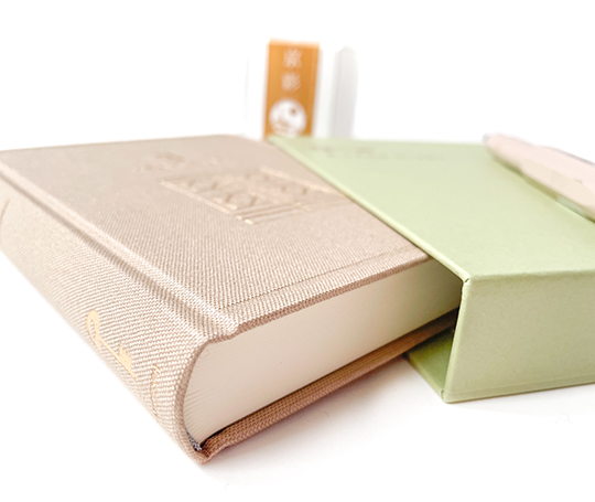 Midori - 3 Year diary - beige