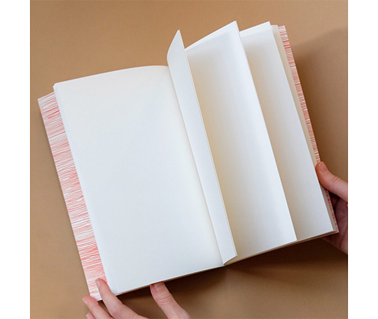 Grand carnet - Poppies