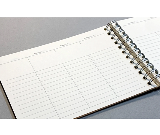 Planner non-daté avec vues mensuelles et hebdomadaires
