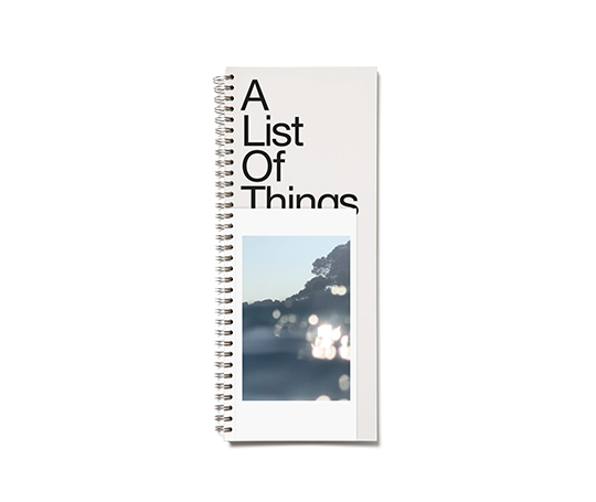 Marjolein Delhaas - A List of Things