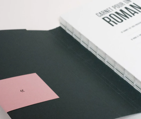 Carnet pour un roman