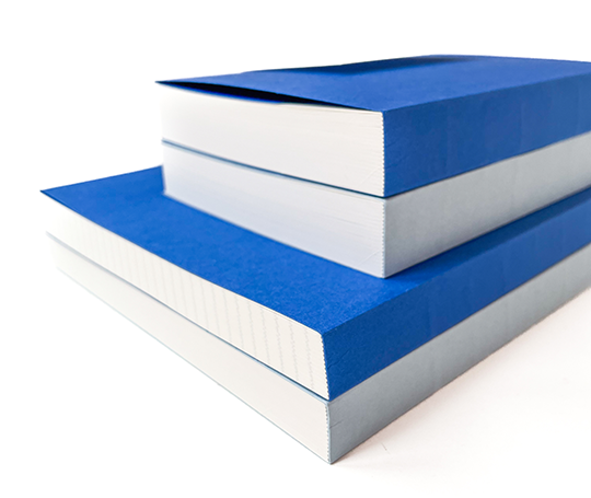 Mishmash - carnet Naked A6 - Bleu cobalt