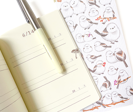 Midori - 3 Year diary - beige