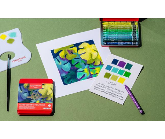 Caran d'Ache NEOCOLOR II Aquarelle 50 ans 10 pastels -  Lush