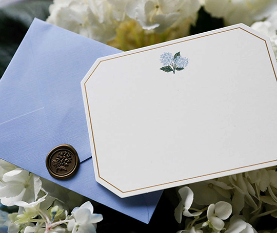 Rifle Paper Co. - Ensemble de correspondance Hortensia
