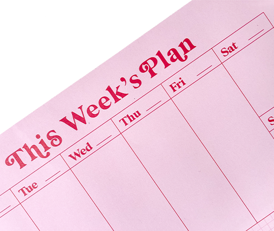 Bloc "This Week's Plan"