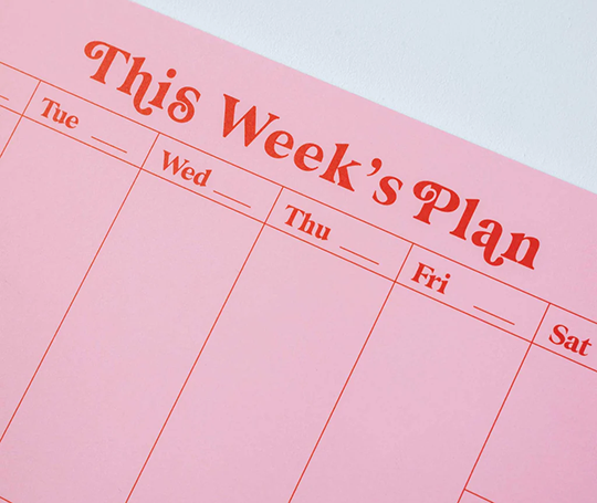 Bloc "This Week's Plan"