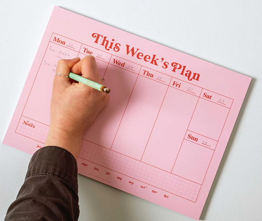 Bloc "This Week's Plan"