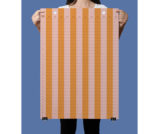Affiche année 2026 - Stripe