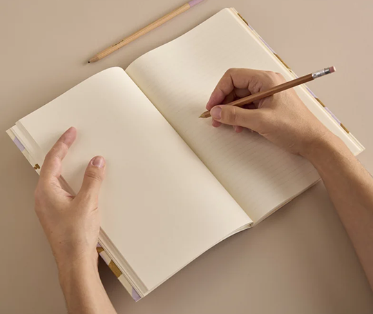 Season Paper - journal - L'oiseau