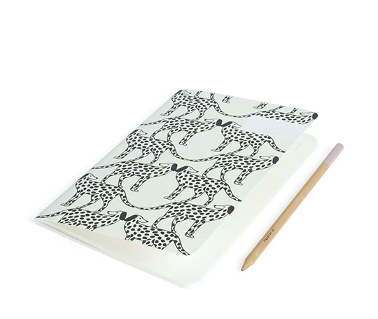 Season Paper - carnet illustré - Dalmatien