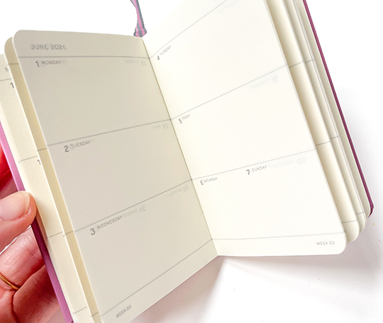 Leuchtturm - agenda 2026 A6 - souple en blocs - Spring Leaf