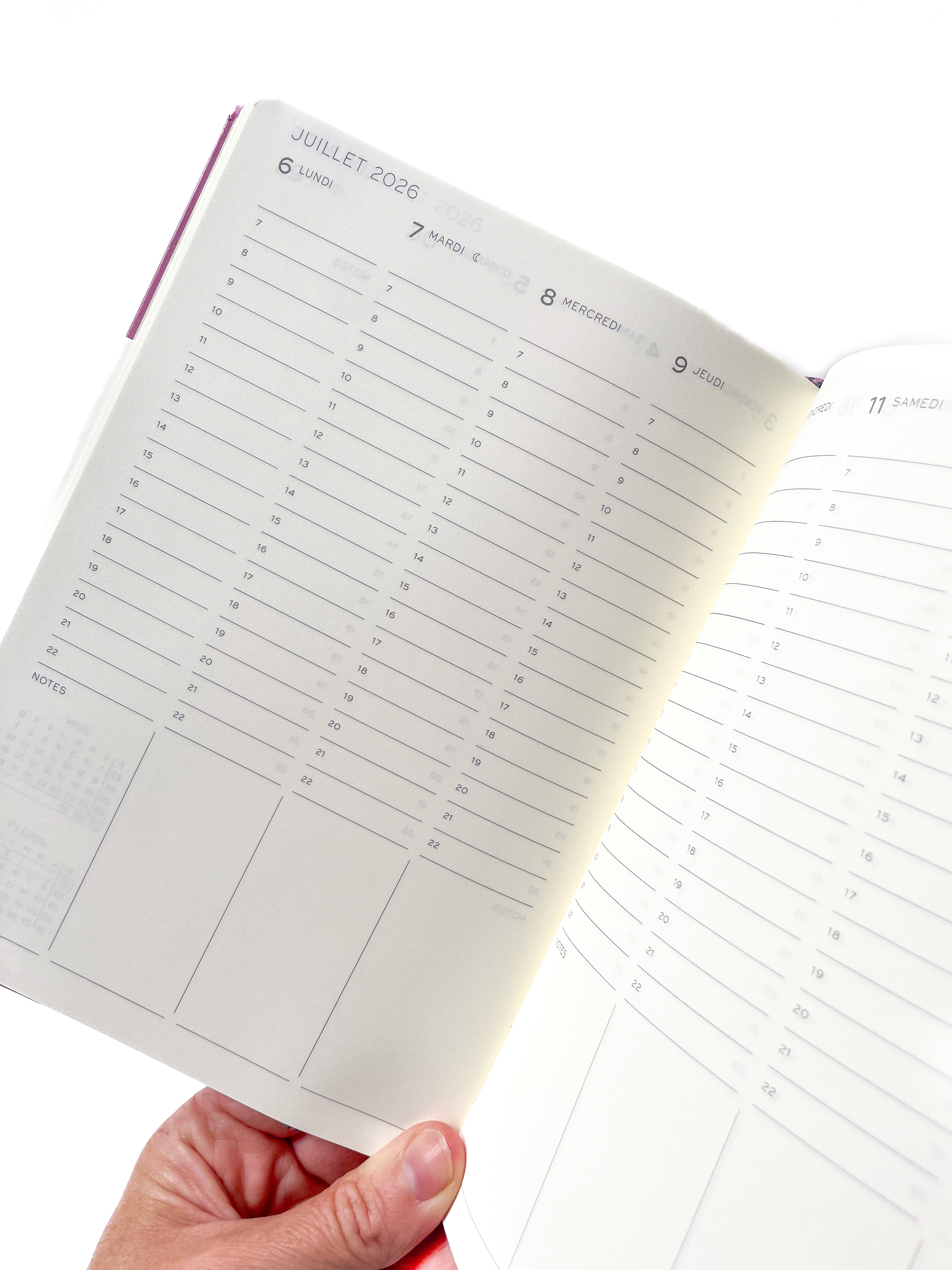 Leuchtturm - agenda FR 2026 A5 - rigide en colonnes - Spring Leaf