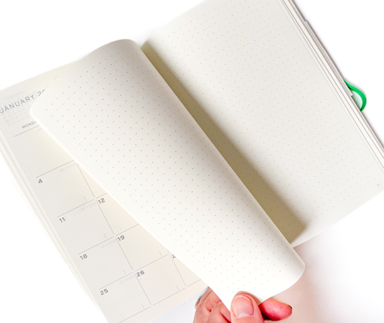 Leuchtturm - agenda 2026 B6+ souple mensuel - Spring Leaf