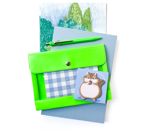 Pochette Nähe A6 - vert fluo
