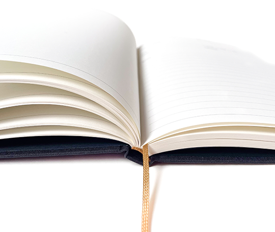 Review book toilé