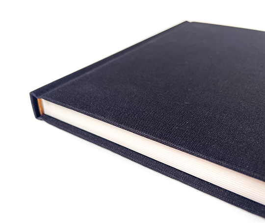 Review book toilé