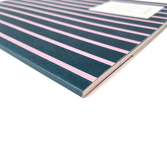 Notem - grand carnet VITA - Blue & Pink