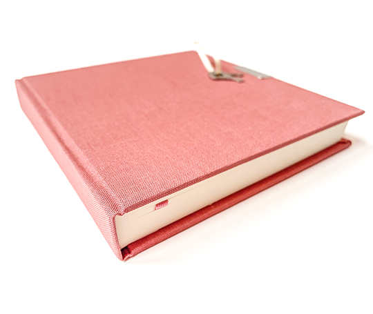 Journal intime top secret - Vieux rose