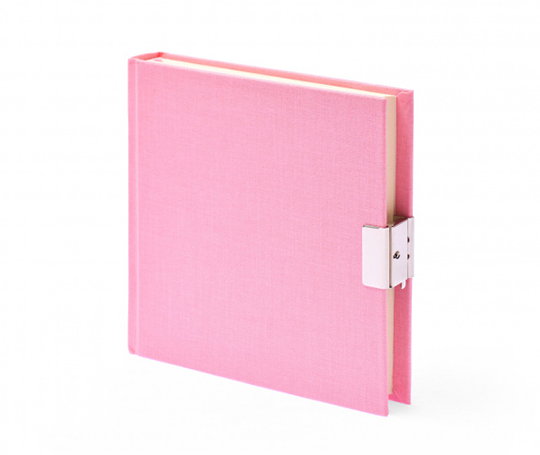 Journal intime top secret - Rose clair