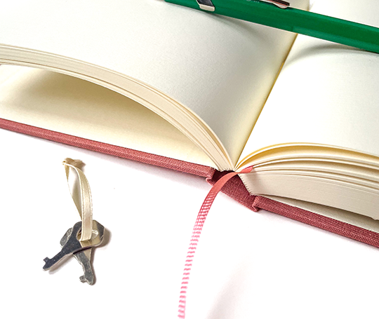 Journal intime top secret - Rouge