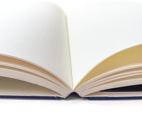 Carnet Illustrator A5 - Light Grey