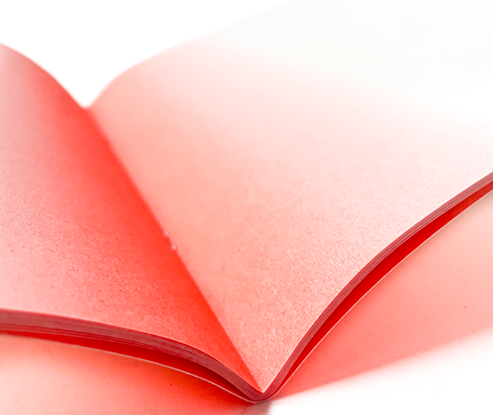 Carnet souple dégradé Glow