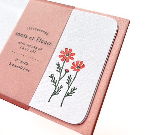 Mini set de 3 cartes & enveloppes en letterpress - Cosmos