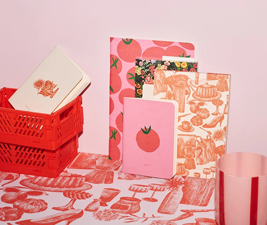 Season Paper - carnet illustré - Gaspacho