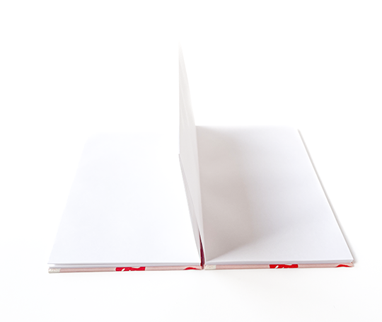 Carnet en accordéon - Daruma