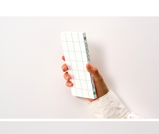 Good Luck - planificateur 6 mois